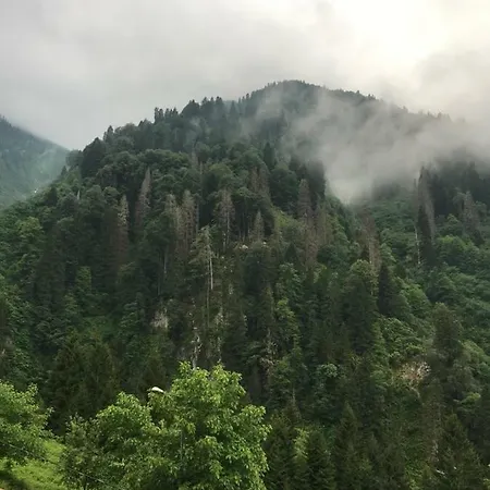 Delux Апарт-отель Яйла-Айдер